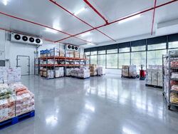 Food Concept @ Pandan (D5), Factory #638066791